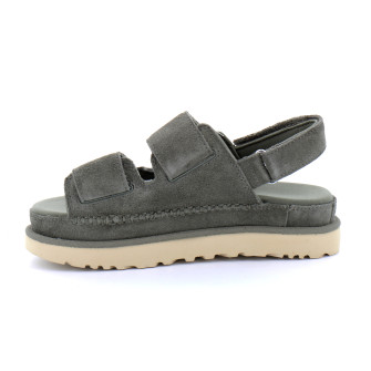 Goldenstar moss/green 1141493-msg