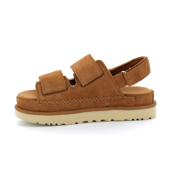 Goldenstar chestnut 1141493-che