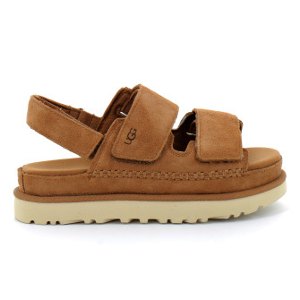 Goldenstar chestnut 1141493-che