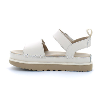 Goldenstar jasmine 1156431-jsm