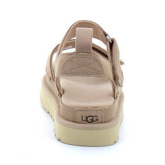 Goldenstar driftwood 1136783-dri