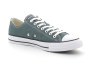 Chaussures basses à lacet pour adulte chuck taylor all star classic green. a10537c