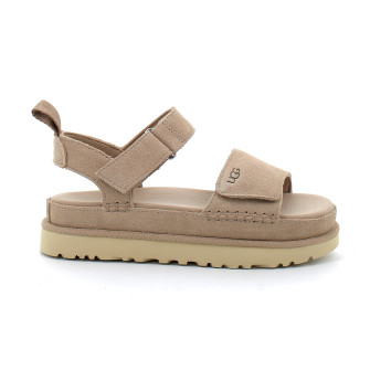 Goldenstar sand 1136783-sand