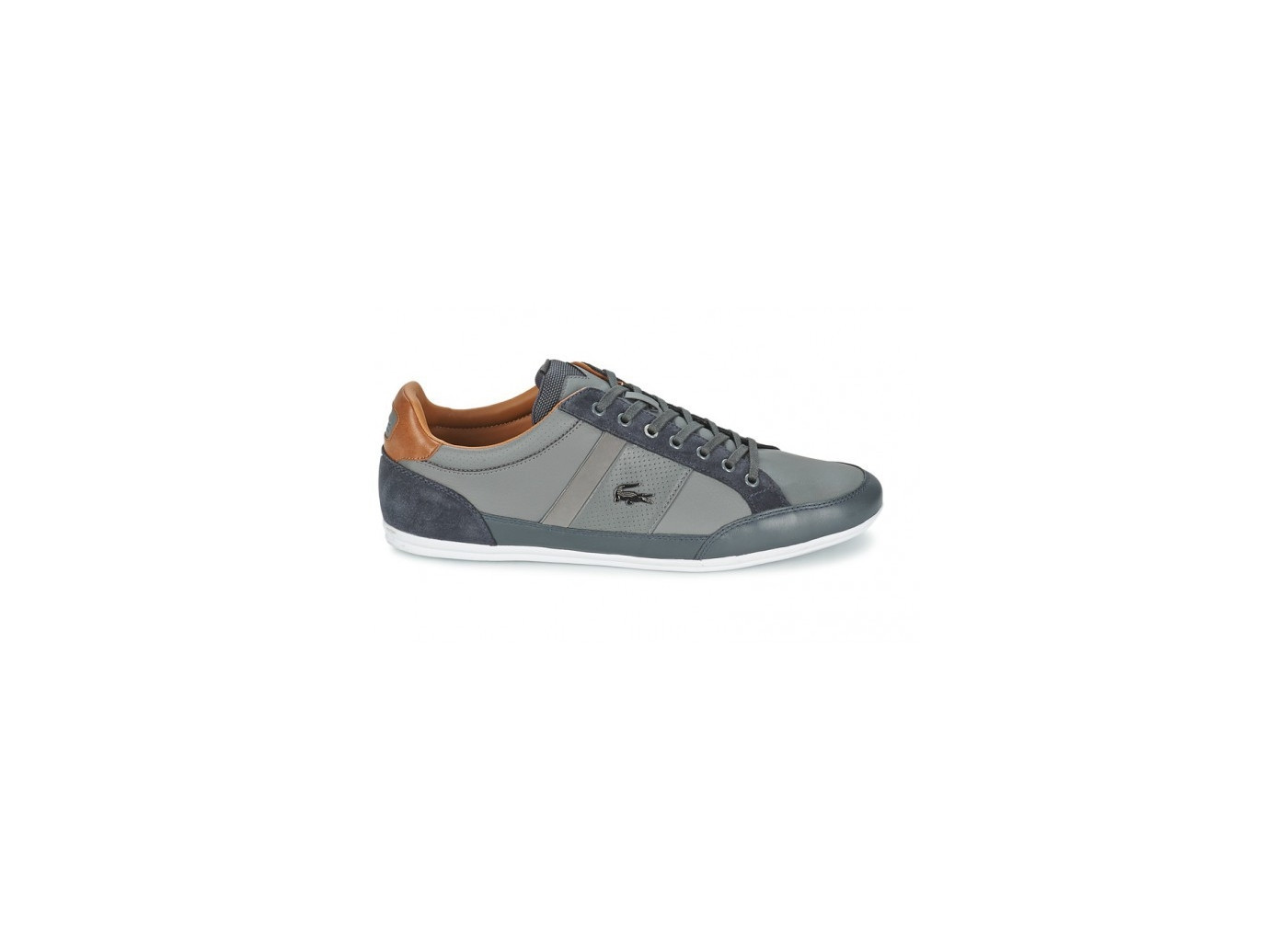 lacoste chaymon gris